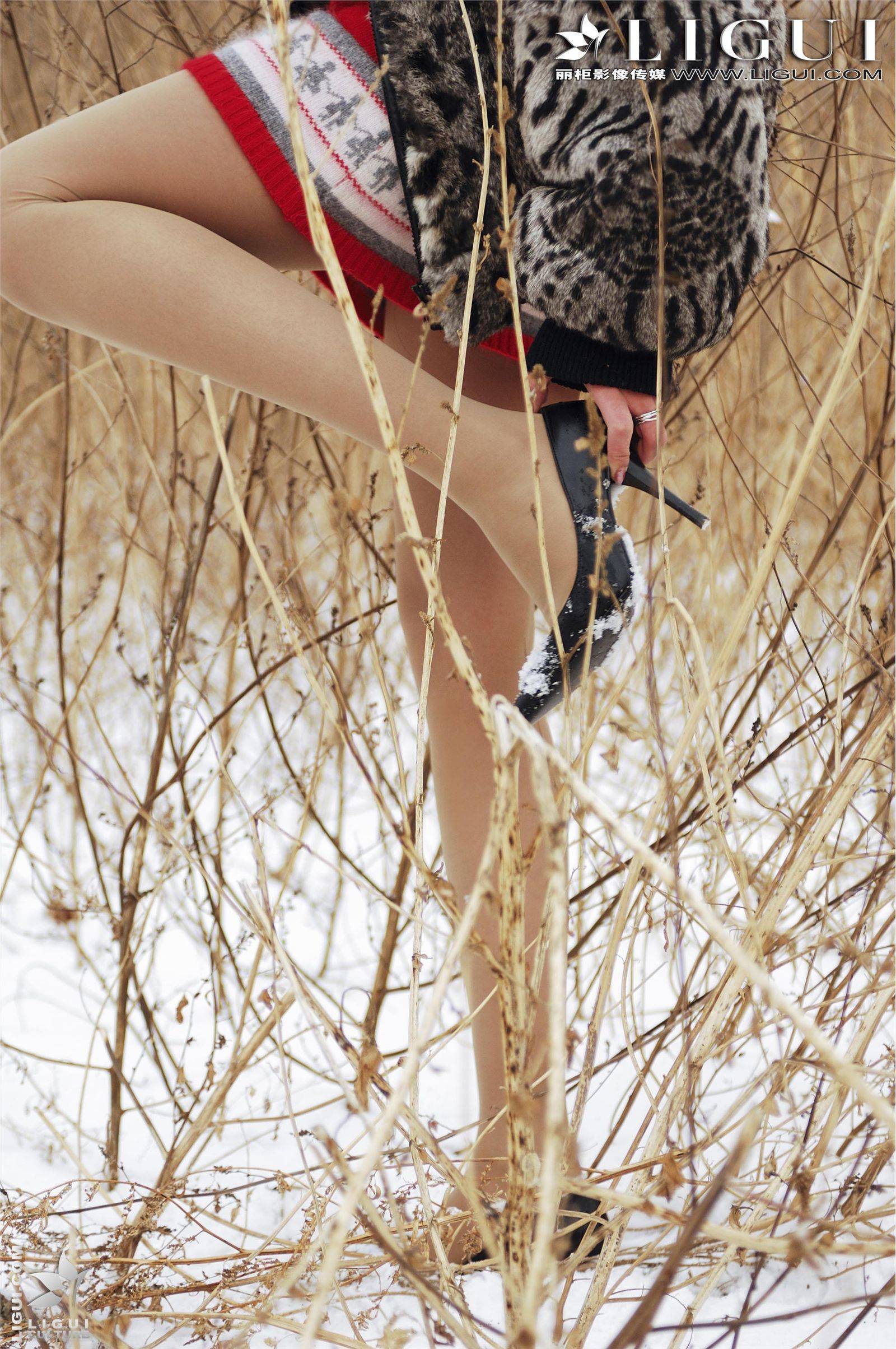 [丽柜VIP 名莲] 2012.07.09 琳达 性感丝袜美女图片